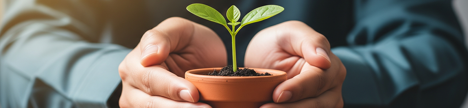 A new young plant in someone's caring hands, representing juvenile law